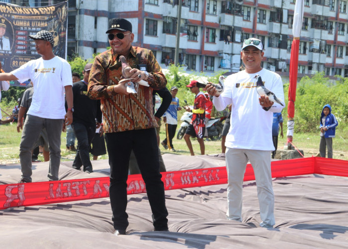Dibuka Wali Kota, Kompetisi Merpati Kolong di Tegal Berhadiah Total Rp83 Juta