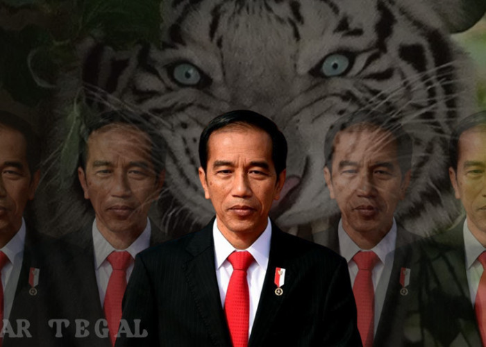 Di Luar Nurul! Alasan Pak Jokowi Tidak Pernah Marah saat Dihina, Punya Khodam Apa?