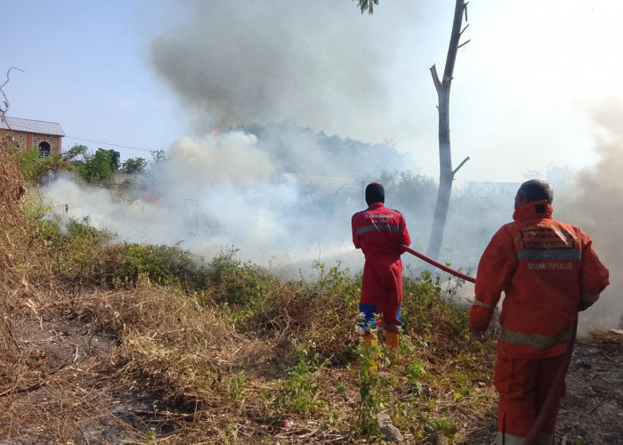 Tiga Kebakaran Lahan Terjadi dalam Lima Jam di Kabupaten Tegal, Diduga akibat Kelalaian