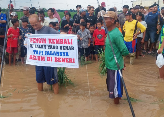 Tak Kunjung Diperbaiki, Warga di Tegal Tanam Pisang dan Mancing Lele di Tengah Jalan yang Rusak