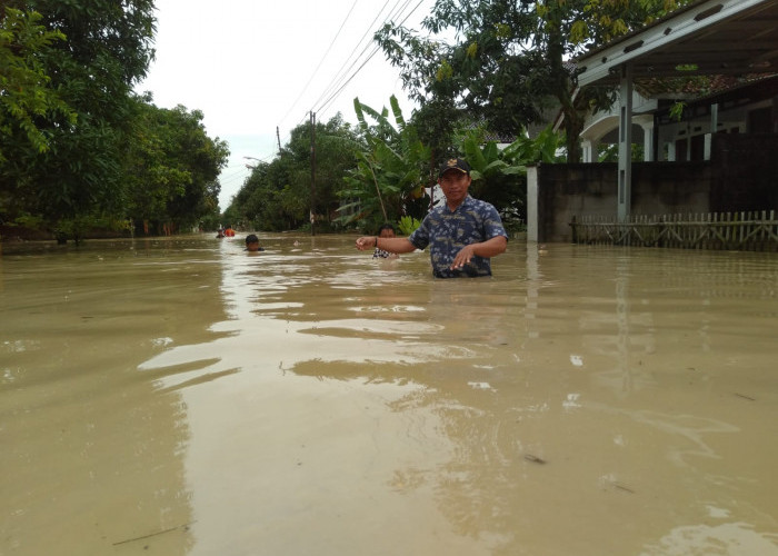 61 Rumah di Desa Sukareja Tegal Terendam Banjir, Banyak Hewan Ternak Hilang Terseret Arus