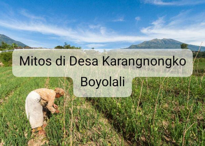 Mitos di Desa Karangnongko Boyolali: Tanaman Kacang Membawa Petaka? 
