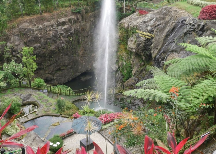 Seru Banget! Wisata Populer Purwokerto Ini Wajib Masuk Bucket List