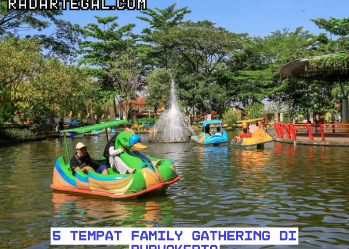 Ingin Seru-seruan Bareng Keluarga? Cek 5 Rekomendasi Tempat Family Gathering di Purwokerto