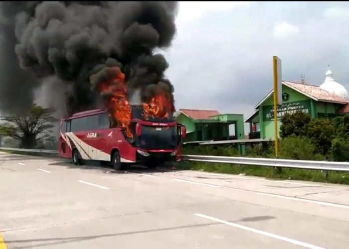 Mencekam! Detik-detik Bus Agra Mas Terbakar di Exit Tol Tegal Viral di Media Sosial