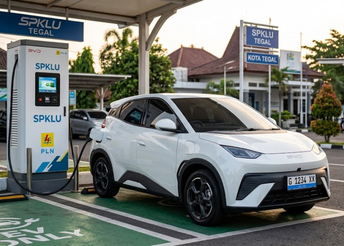 4 Mobil Listrik BYD Termurah 2026, Cek Harga dan Peluang Insentif