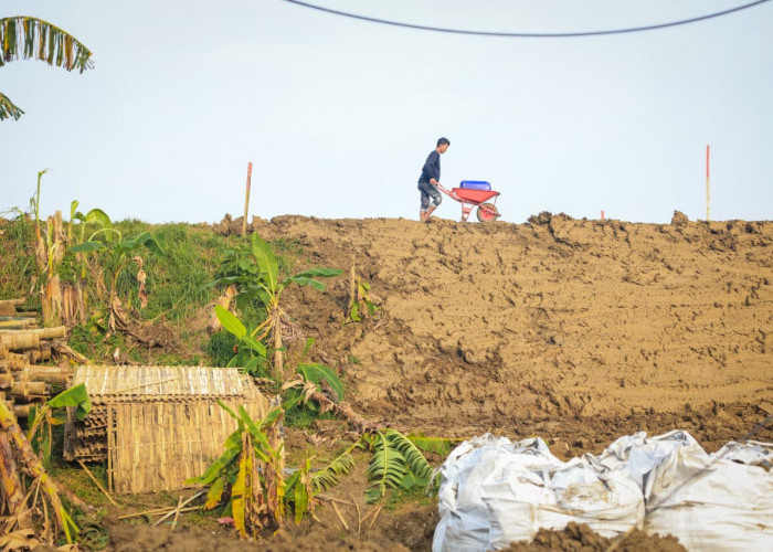 Tanggul Sungai Tuntang Grobogan Retak: Pemprov Jateng Instruksikan BBWS Percepat Perbaikan