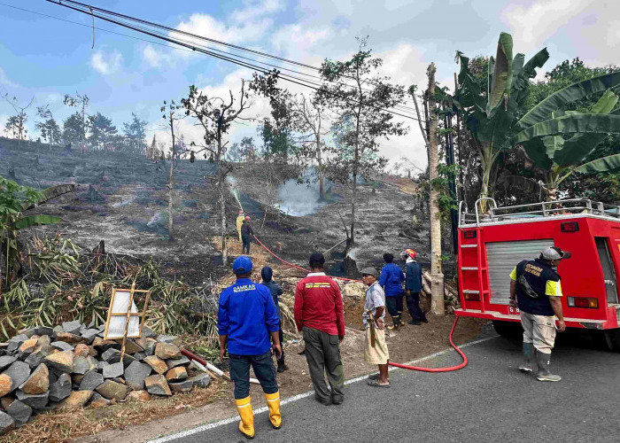 Kebakaran Hutan di Watukumpul Pemalang, 6 Hektare Lahan Perhutani Terbakar