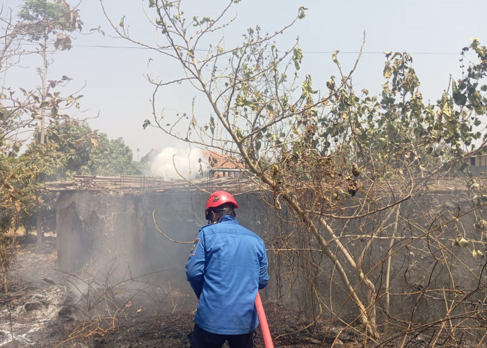 Dua Jam Berselang, Dua Lahan di Kabupaten Tegal Terbakar