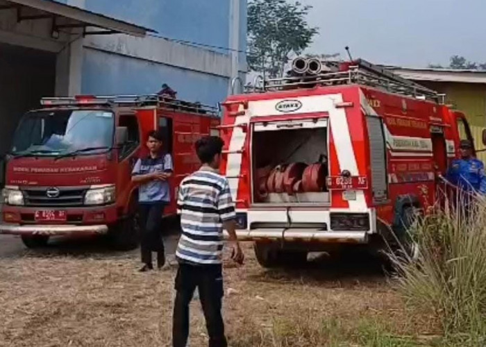 Kebakaran Lahan di Kalibakung Nyaris Merembet ke Gedung Universitas Muhammadiyah Tegal