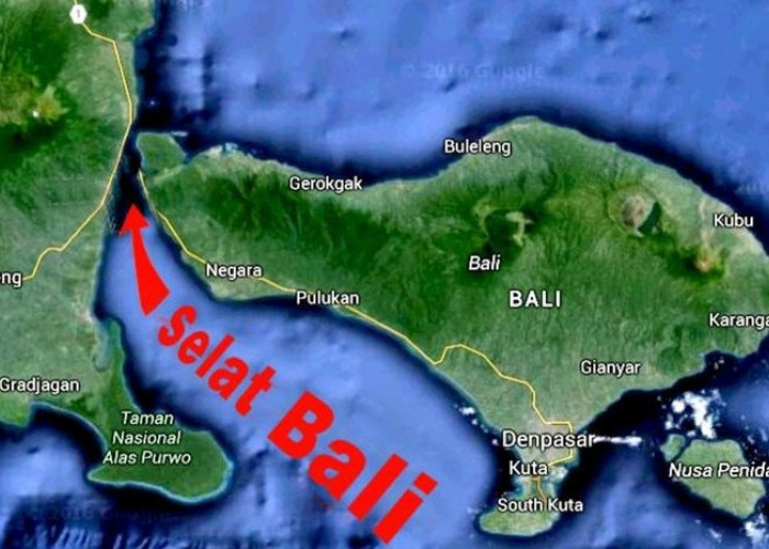 Jembatan Penghubung Jawa Bali Tak Mungkin Ada, Jika Dibangun Ini yang Akan Terjadi di Pulau Dewata  