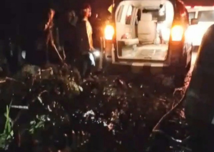 Tragis! Pasutri di Pemalang Tewas Tertimpa Pohon Tumbang