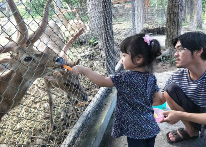 6 Mini Zoo Populer di Jawa Tengah, Ajak Anak Kenali Satwa Lebih Jauh