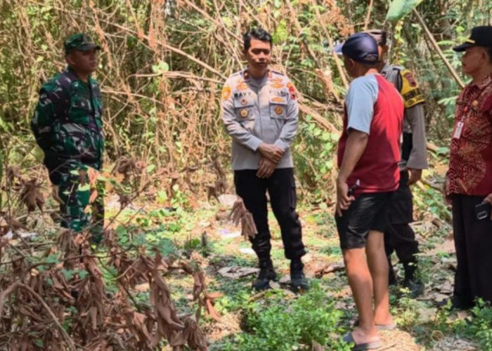 Geger Penemuan Bayi di Pekarangan Kosong Tlogomulyo Semarang, Polisi Telusuri CCTV