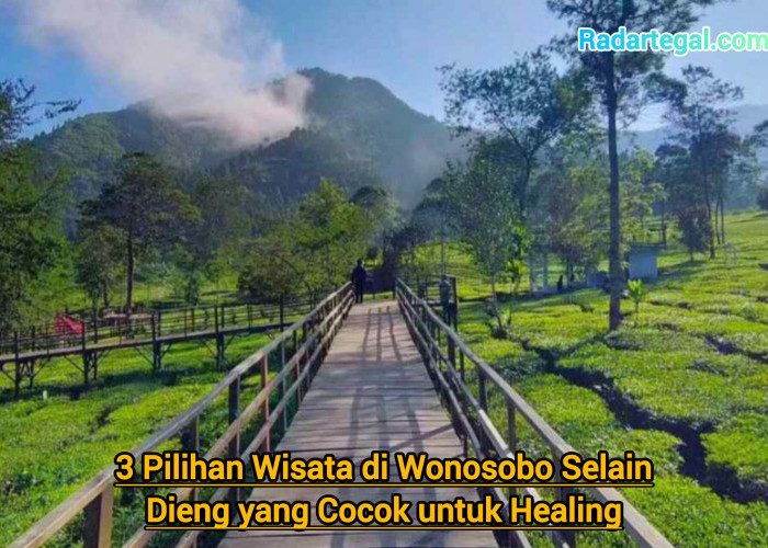 3 Pilihan Wisata di Wonosobo Selain Dieng yang Cocok untuk Healing