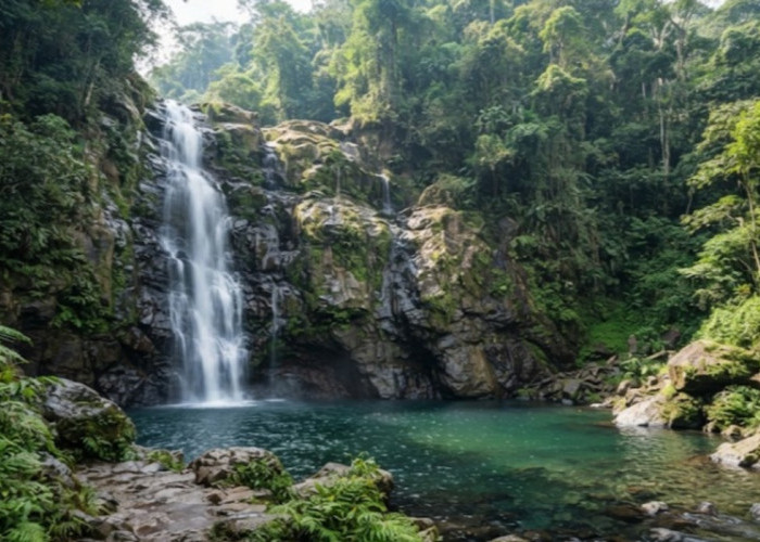 5 Curug di Wilayah Pemalang yang Paling Eksotis: Air Jernih, Asri, & Cocok Buat Healing!