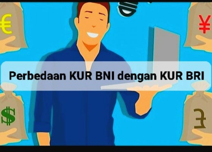 Perbedaan KUR BNI dengan KUR BRI, Mana yang Paling Menguntungkan?