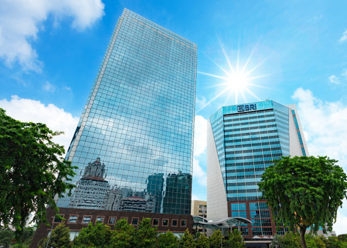 Tunjukkan Kinerja Positif, BRI Fokus Himpun Dana Murah Perkuat Struktur Pendanaan Jangka Panjang 