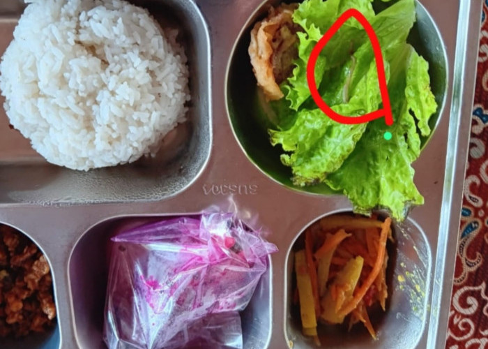 Video Menu MBG di Pemalang Viral! Diduga Ada Hewan Kecil yang Bergerak dalam Makanan