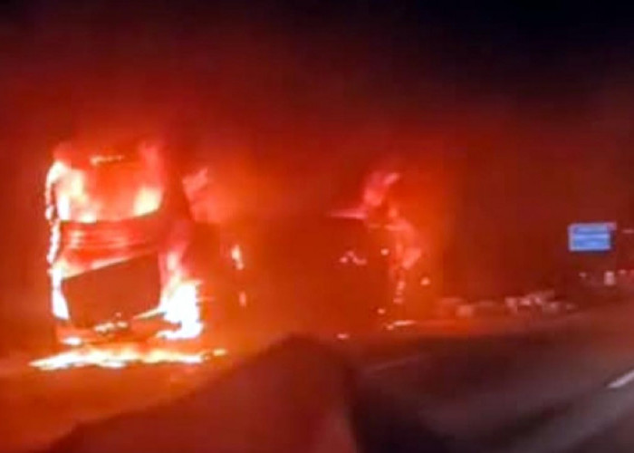 Kebakaran Bus Tunggal Dara di Tol Bawen, Begini Kronologinya