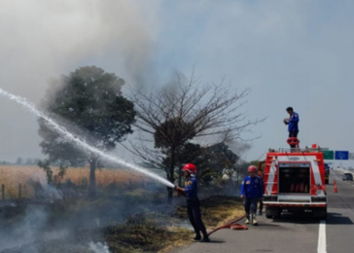 Lahan di Samping Jalan Tol Pejagan-Pemalang Terbakar, Petugas Buru-buru Padamkan