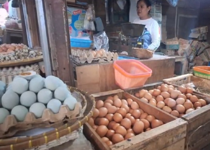 Harga Beras Masih Tinggi di Brebes, Ayam Potong dan Telur Mengalami Penurunan