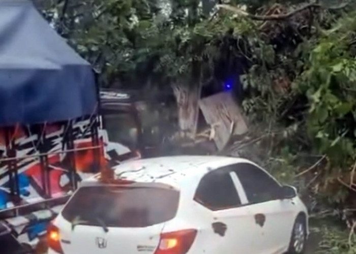 Kronologi 3 Warga di Batang Tewas Tertimpa Pohon Tumbang dan Tiang Listrik Roboh Diterjang Angin Kencang