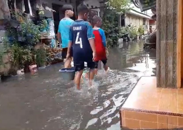 Diguyur Hujan Deras, Sejumlah Rumah di Pesisir Pantura Tegal Terendam Banjir