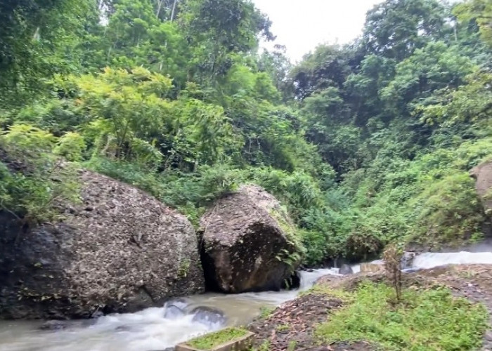 4 Hidden Gem di Wonosobo yang Jarang Diketahui Wisatawan
