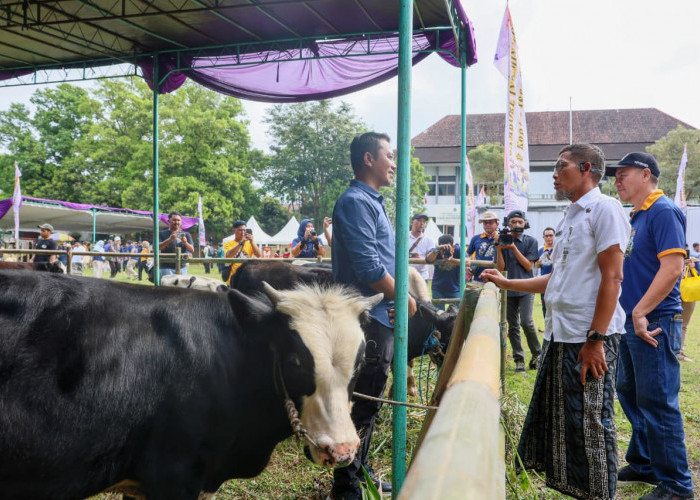Pastikan Kesehatan Hewan Kurban Iduladha 2026 Sehat, Pemprov Jateng Lakukan Hal Ini