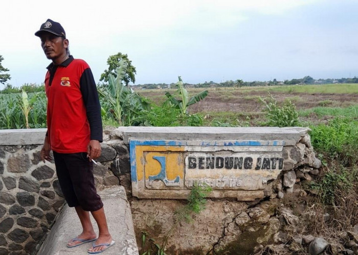 Petani Desak Pemerintah Benahi Bendung Jati di Jatibogor Tegal, Berikut Sejumlah Alasannya