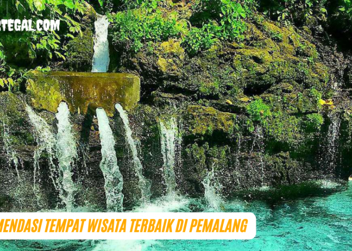 Pilihan Keluarga, Ini Rekomendasi Tempat Wisata Terbaik di Pemalang 