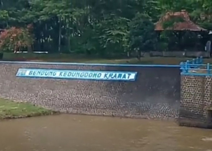 Debit Air Bendungan Kedungdowo Kramat Semakin Turun, Persawahan di Batang Mulai Kekeringan
