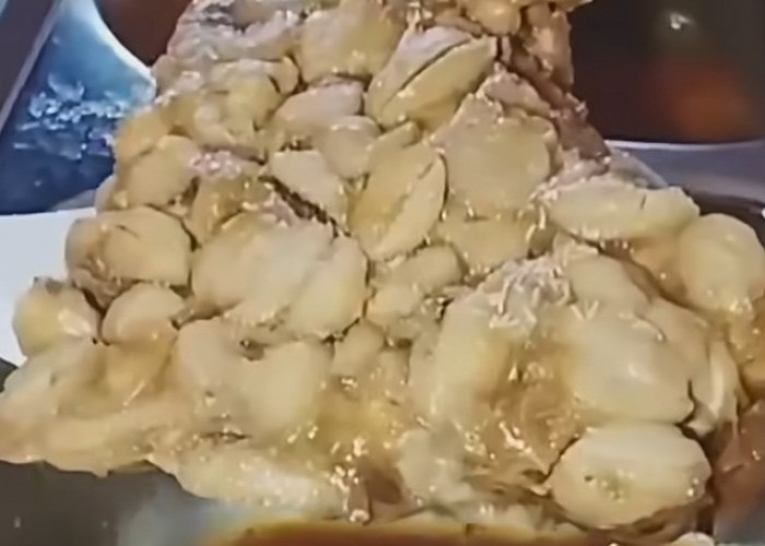 Video Menu MBG Diduga Ada Belatung Viral, Disebut Terjadi di SMA Negeri 1 Belik Pemalang