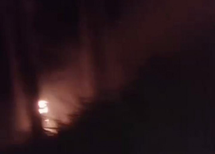 Kebakaran Hutan Terjadi di Bukit Gombong Kiriman Beluk Pemalang, Damkar Antisipasi Insiden Susulan