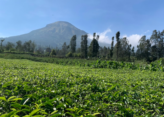 6 Destinasi Wisata Bebas Keramaian di Jawa Tengah untuk Libur Nataru 2025