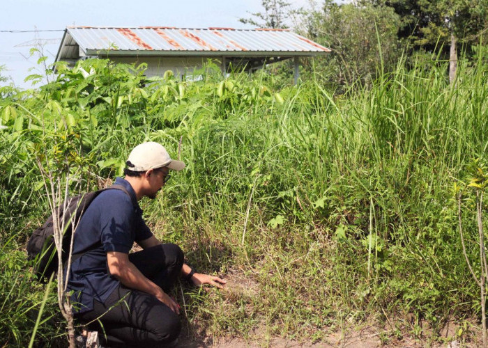 Pemuda Tegal Temukan Situs Kuno di Harjosari Kidul, Diduga Candi Pra Islam