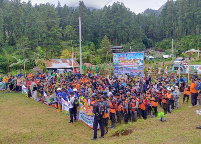 Tegal Lawan Kerusakan Hutan, 1.000 Pohon Ditanam di Lereng Gunung Slamet