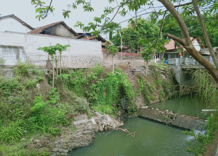 Talut Sungai Pamulihan Bumiayu Brebes Jebol, Pemukiman Warga Terancam Banjir 