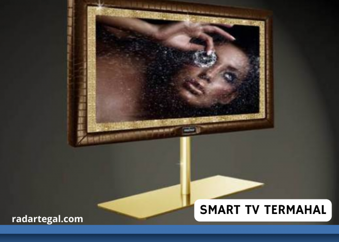 7 Smart TV Termahal di Dunia Berharga Miliaran, Spesifikasinya Lengkap seperti Bioskop