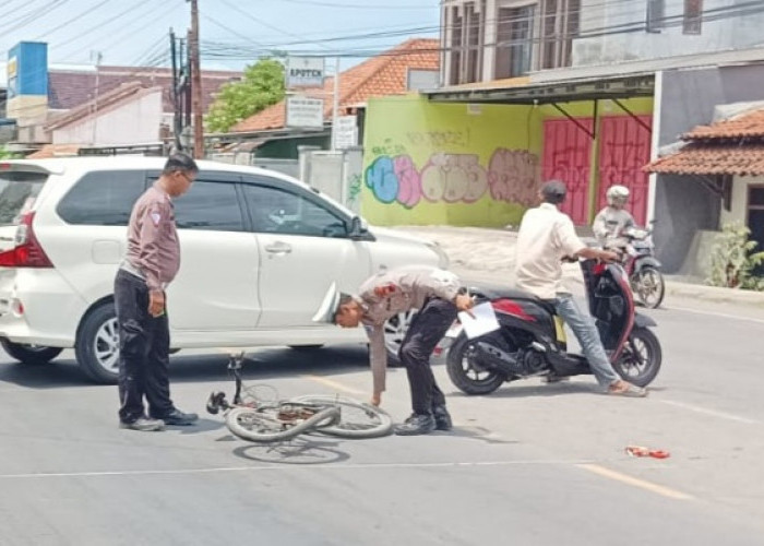 Kecelakaan di Jalur Pantura Tegal, Pesepeda Tertabrak Avanza Hingga Meninggal Dunia