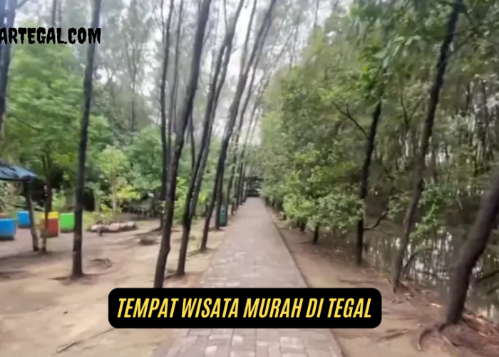 Daftar Tempat Wisata Murah di Tegal yang Penuh dengan Keindahan