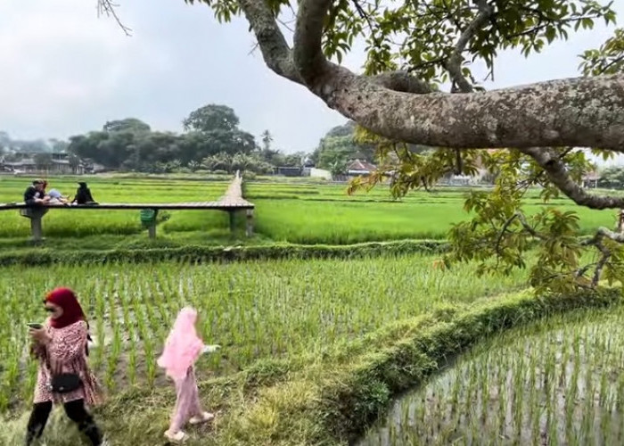 3 Wisata Alam di Salatiga yang Sepi Padahal Menarik dan Eksotis