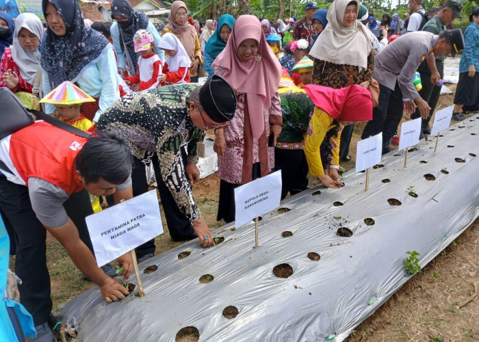 Aktivasi Program K3P, Pertamina Gelar Event Tanam Serentak 1000 Tanaman Hortikultura