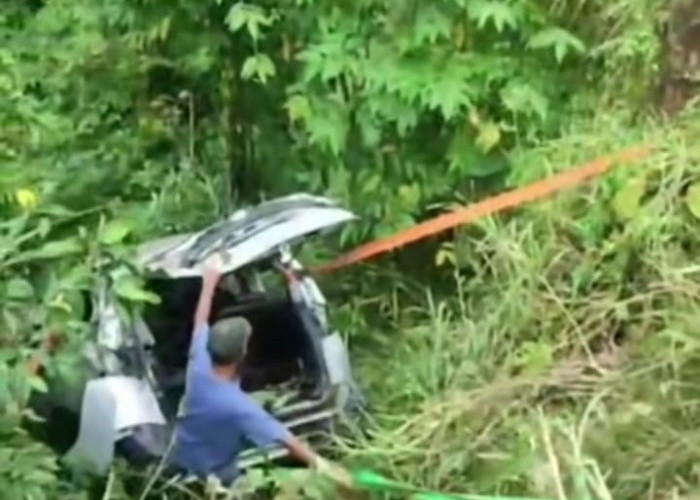 Mobil MPV Terperosok ke Kebun Warga di Exit Tol Pekalongan, Diduga Hilang Kendali