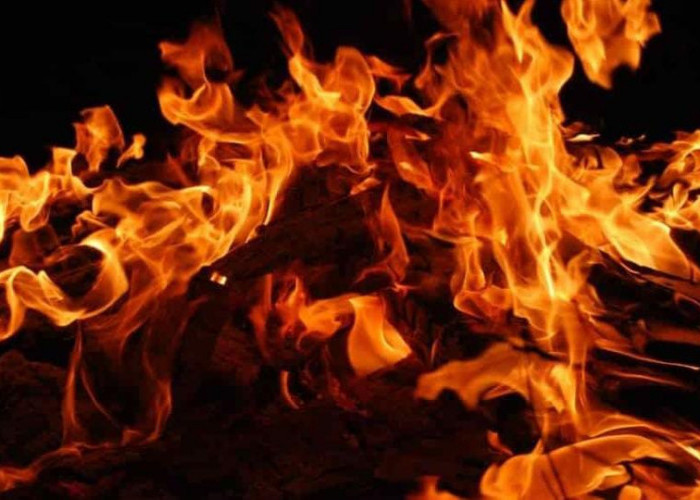 Tragis! Kebakaran di Kabupaten Pekalongan Memakan Korban, Lansia 70 Tahun Tidak Tertolong 