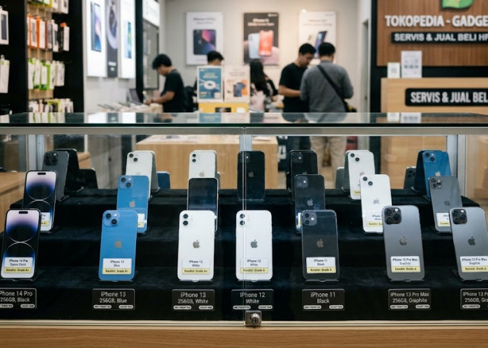 Daftar Harga iPhone Bekas September 2026, Mulai Rp3 Jutaan hingga Rp20 Jutaan
