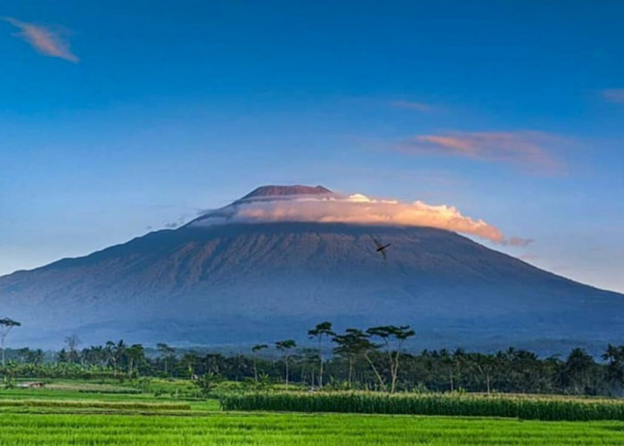 Libur Panjang, Jumlah Pendaki Gunung Slamet via Kabupaten Pemalang Naik hingga 90 % 