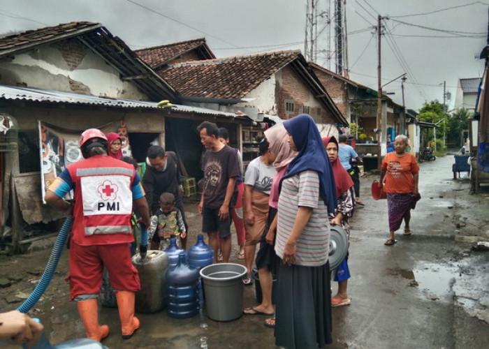 Cepat Tanggap, PMI Salurkan Bantuan Air Bersih untuk Korban Banjir di Kabupaten Tegal 