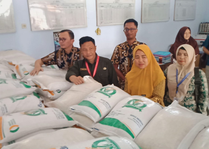 Beras Berulat Ditemukan di Pemalang, Bulog Tegal Terpaksa Tarik dan Ganti 1.259 Kantong  